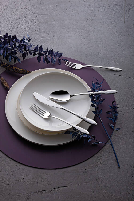 Akasya 24 Parça 6 Kişilik Kutulu Çatal Kaşık Bıçak Takımı - 1